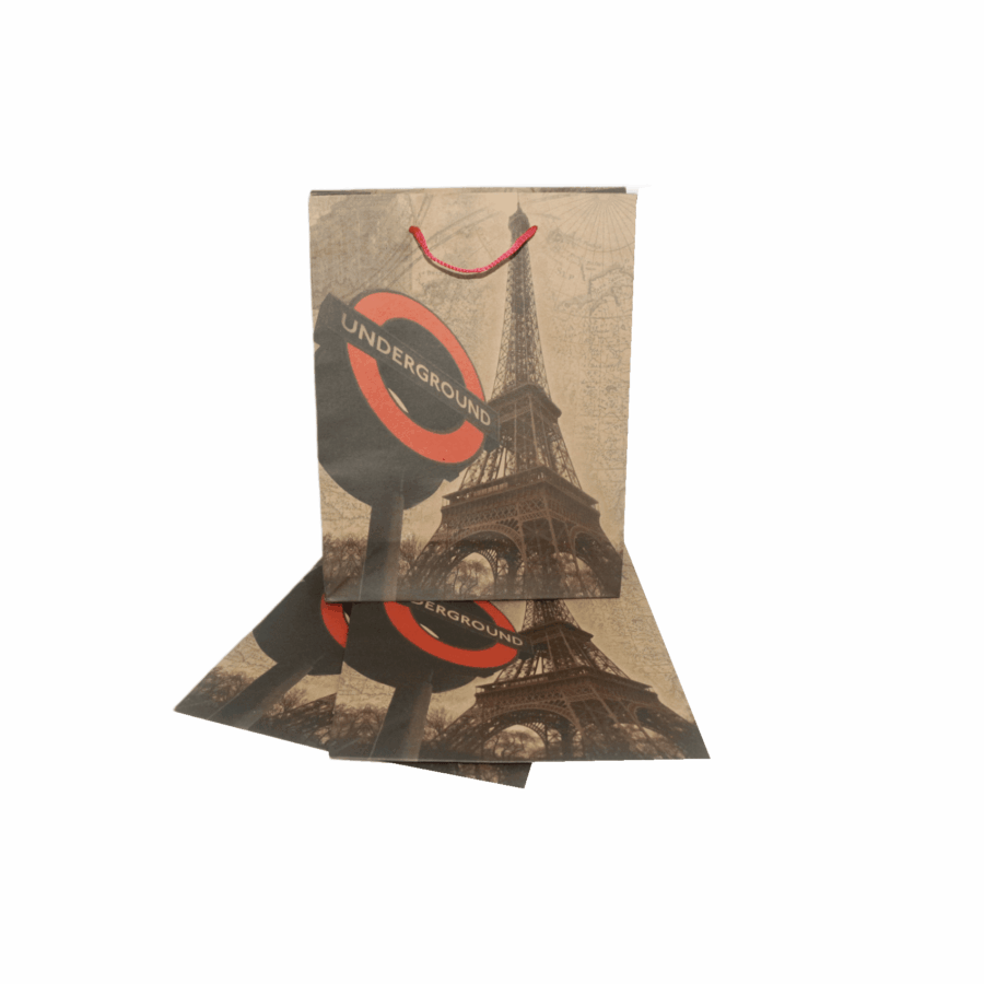 Bolsa de regalo 24.5 X 18.5 cm