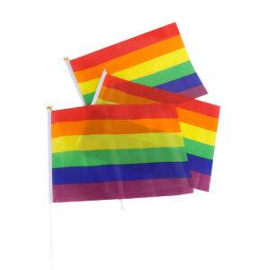 Bandera Pride 20*30cm con 10 piezas