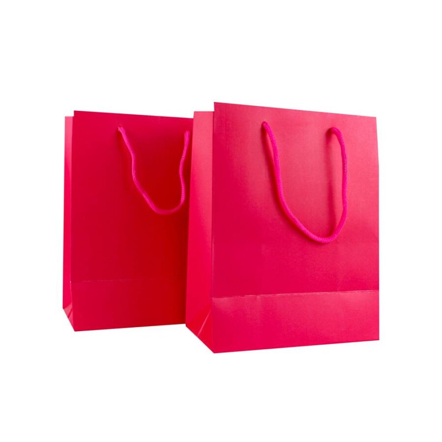 Bolsa de regalo24*18*8 cm
