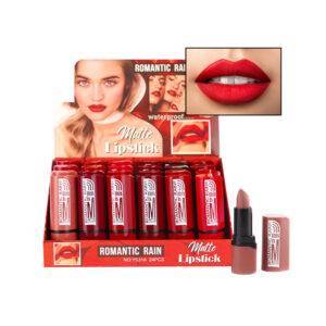 Labial indeleble con 24 piezas