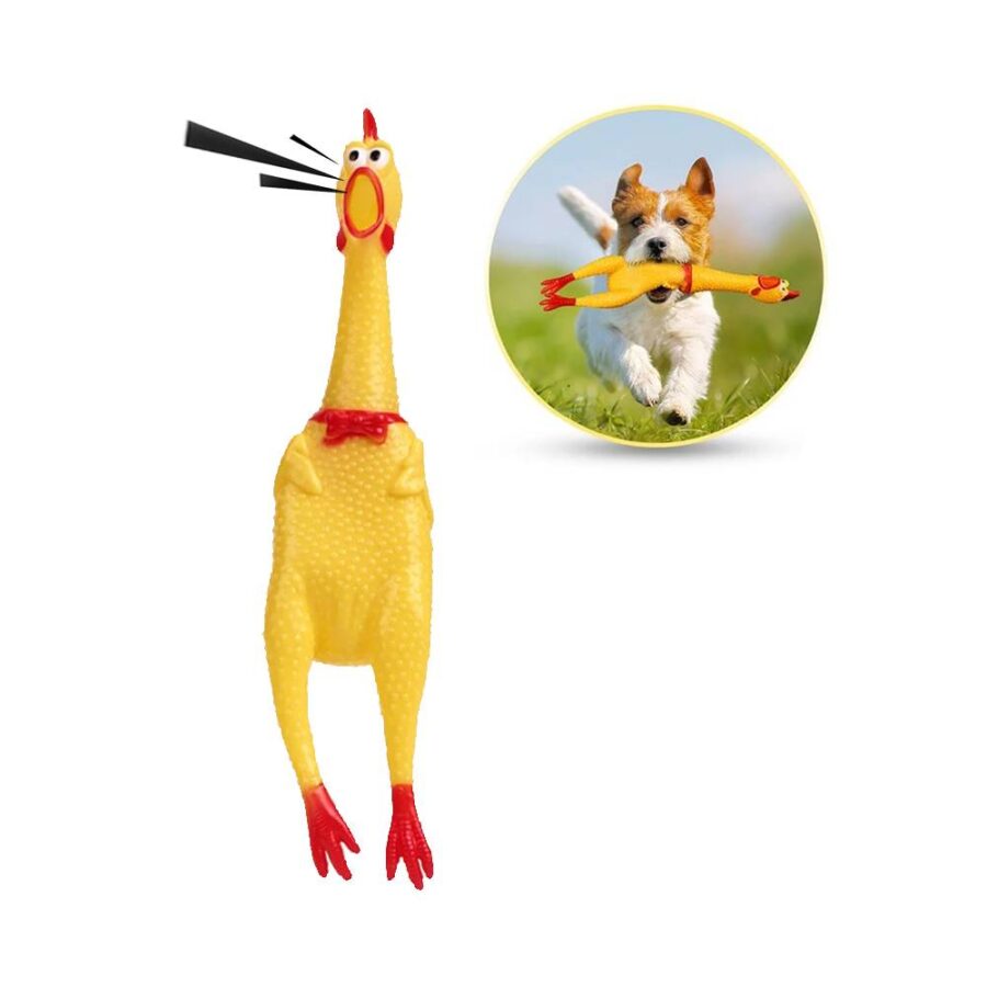 Pollo chillon grande (CAJA)